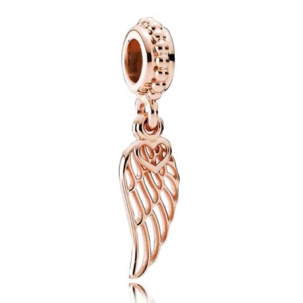 Pandora Rose Love & Guidance Dangle Charm